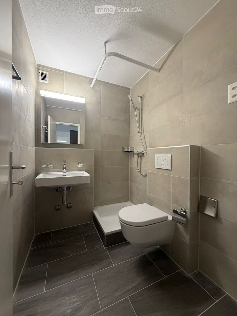 Modern bathroom with a sink, toilet, mirror, and shower. Features tiled walls and dark tiled flooring.