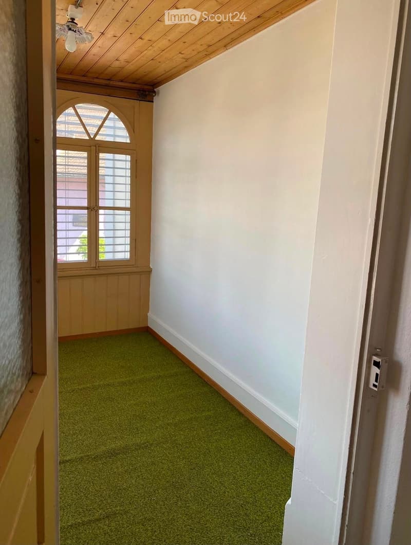A narrow hallway with green carpeting, white walls, and a wooden ceiling. Features a double door with glass panels leading to another room.