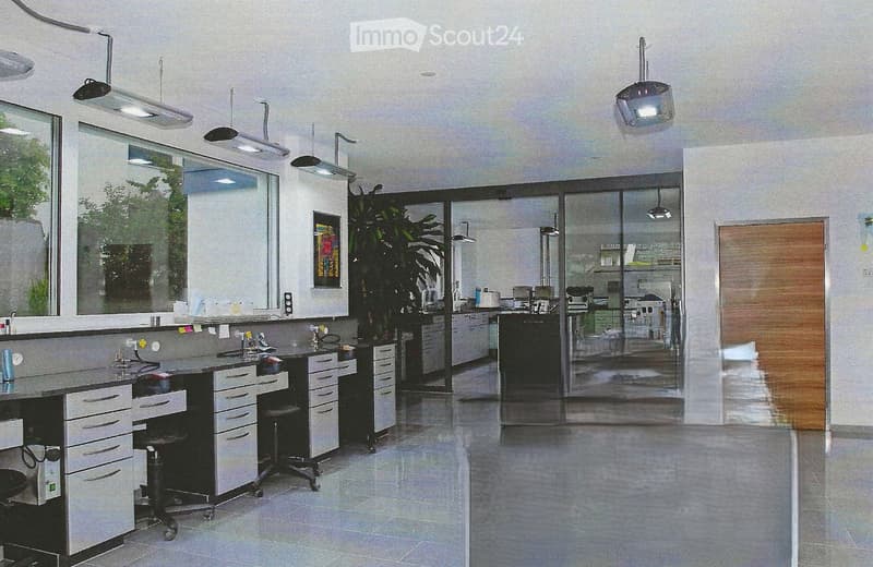 Modern office or studio space with white cabinets, a sink, a large mirror, a framed picture, a potted plant, and a glass partition leading to a kitchen area with appliances.