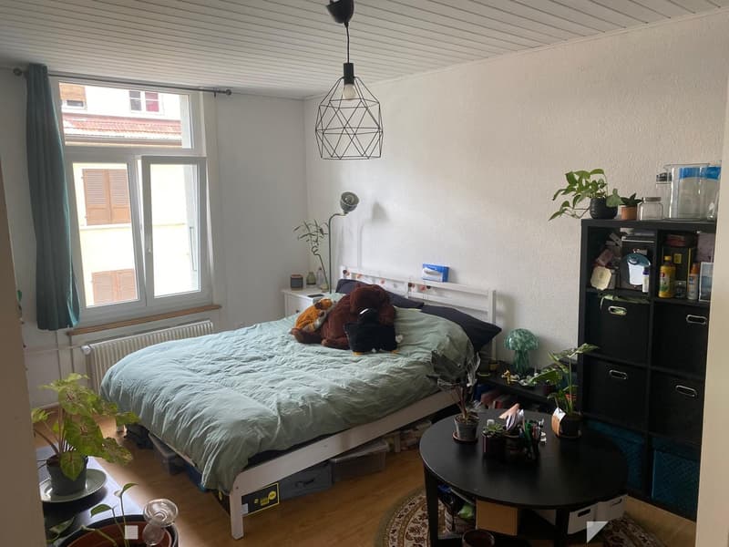 Cozy bedroom with a bed, nightstand, small table, potted plants, and a shelf with storage boxes.