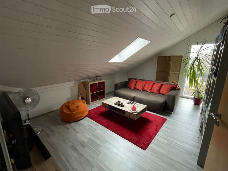 Living room with grey sofa, red cushions, coffee table, beige bean bag chair, fan, storage cabinet, table lamp, remote controls, candle, and plant.