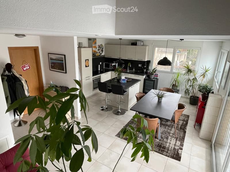 Open-plan living and dining area with modern kitchen, dining table, chairs, bar stools, and potted plants.