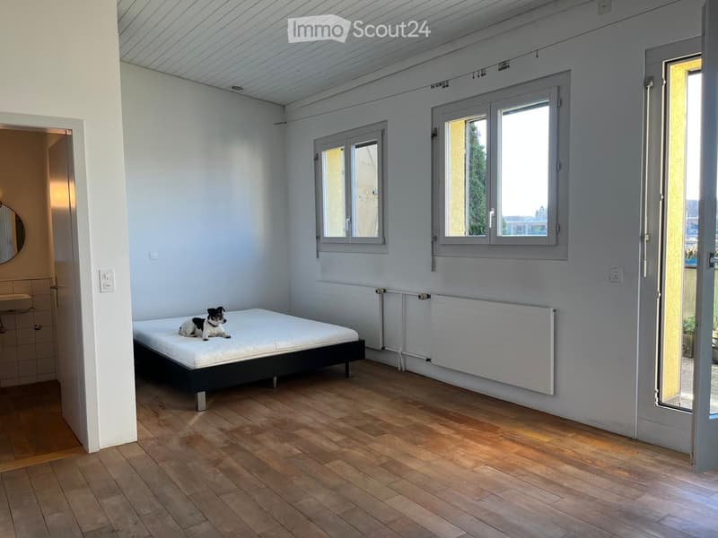 Bright bedroom with wooden flooring, white walls, large windows, and a single bed with a mattress. A small dog is lying on the bed. There is a radiator below the windows and a partially visible bathroom area to the left.