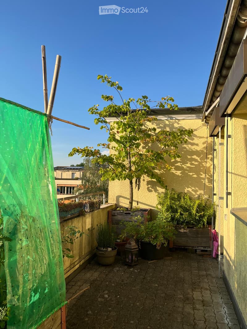 A narrow outdoor garden area with potted plants, a small tree, and a lantern, enclosed by yellow walls and a green mesh screen.