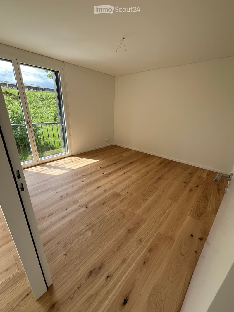 Prima locazione, appartamento terrazza moderno in un nuovo edificio – Brugg AG (3)