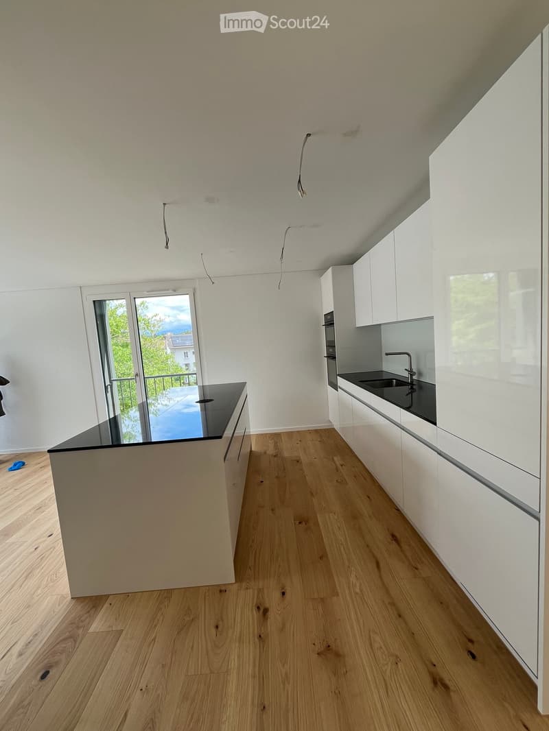 Prima locazione, appartamento terrazza moderno in un nuovo edificio – Brugg AG (7)