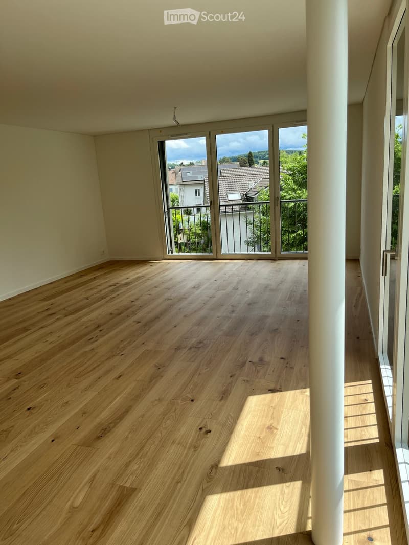 Prima locazione, appartamento terrazza moderno in un nuovo edificio – Brugg AG (2)