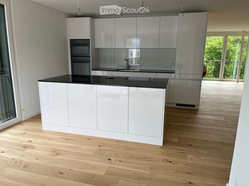 Prima locazione, appartamento terrazza moderno in un nuovo edificio – Brugg AG (6)