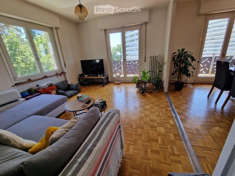 Living room with wooden flooring, large windows, a grey sectional sofa, coffee table, TV, and plants near the balcony door.