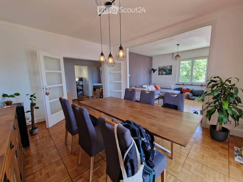 Open-plan living and dining area with wooden flooring, a large dining table surrounded by chairs, a sofa in the background, and potted plants.