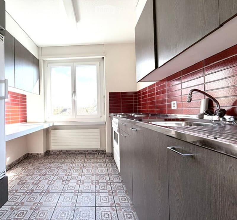 Modern kitchen with dark wooden cabinets, stainless steel sink, red tiled backsplash, and patterned tile floor.