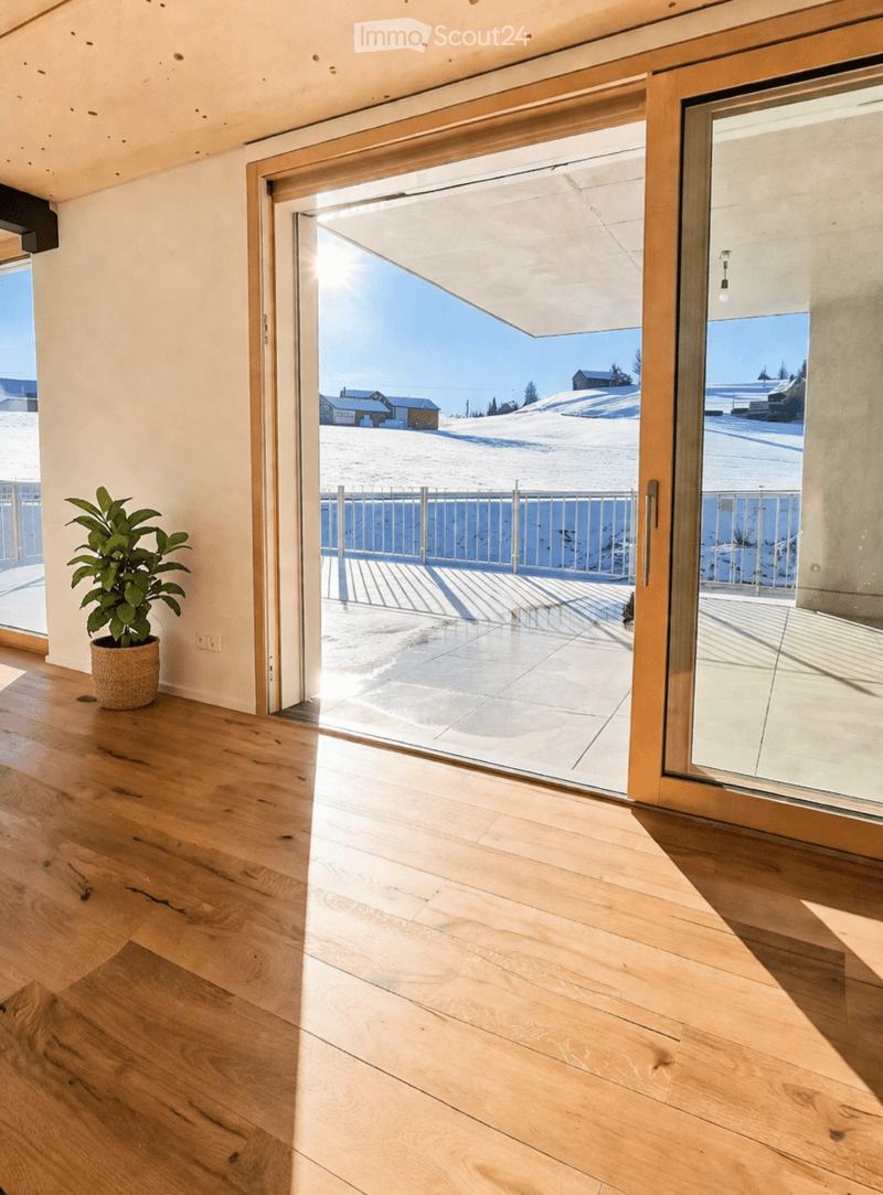 Bright room with wooden flooring, large sliding glass doors leading to a snowy outdoor view, and a potted plant near the entrance.