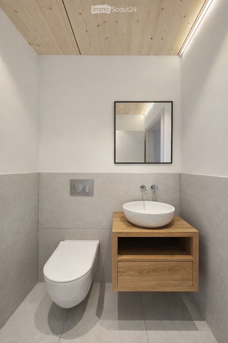 Modern bathroom with a white toilet, wooden vanity with a sink, and a large mirror above the sink.