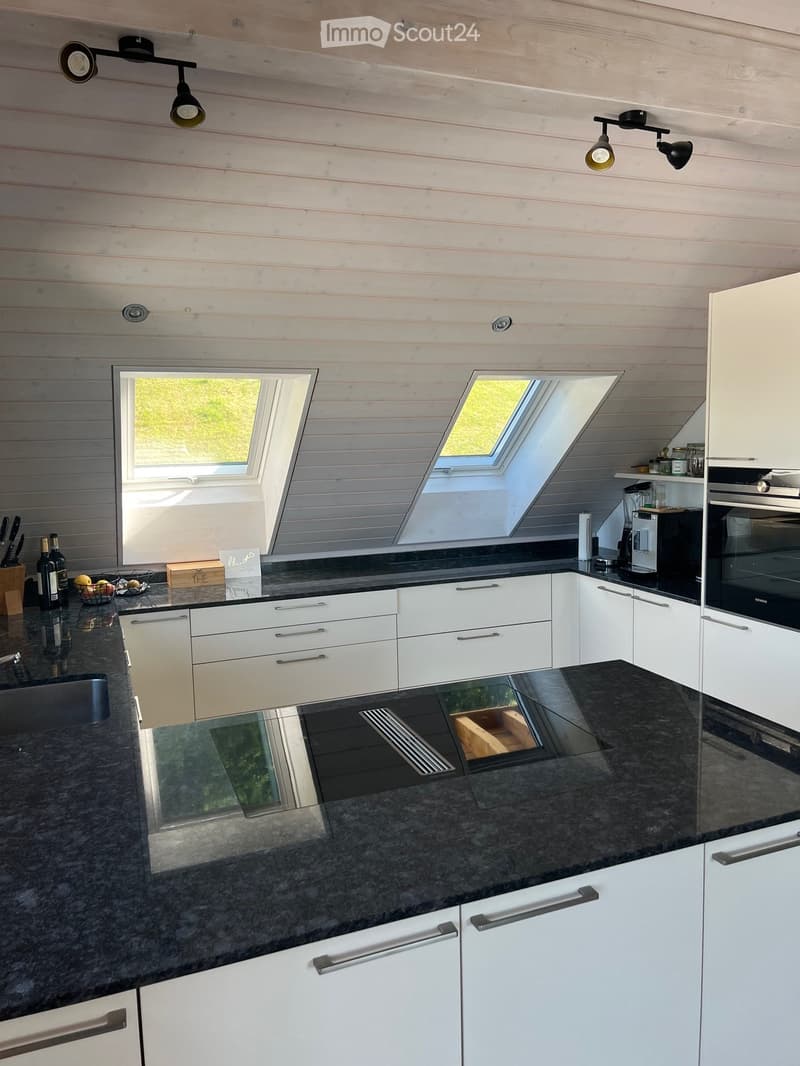 Modern kitchen with white cabinets, dark granite countertops, stainless steel appliances, and skylight windows. Features include an oven, coffee machine, blender, and various kitchen accessories.