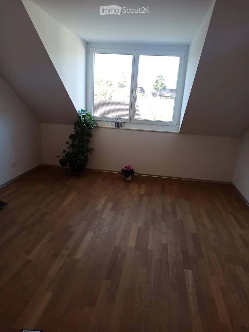 Empty room with wooden flooring, white walls, and a large window with a view of the outside. There are two small potted plants near the window.