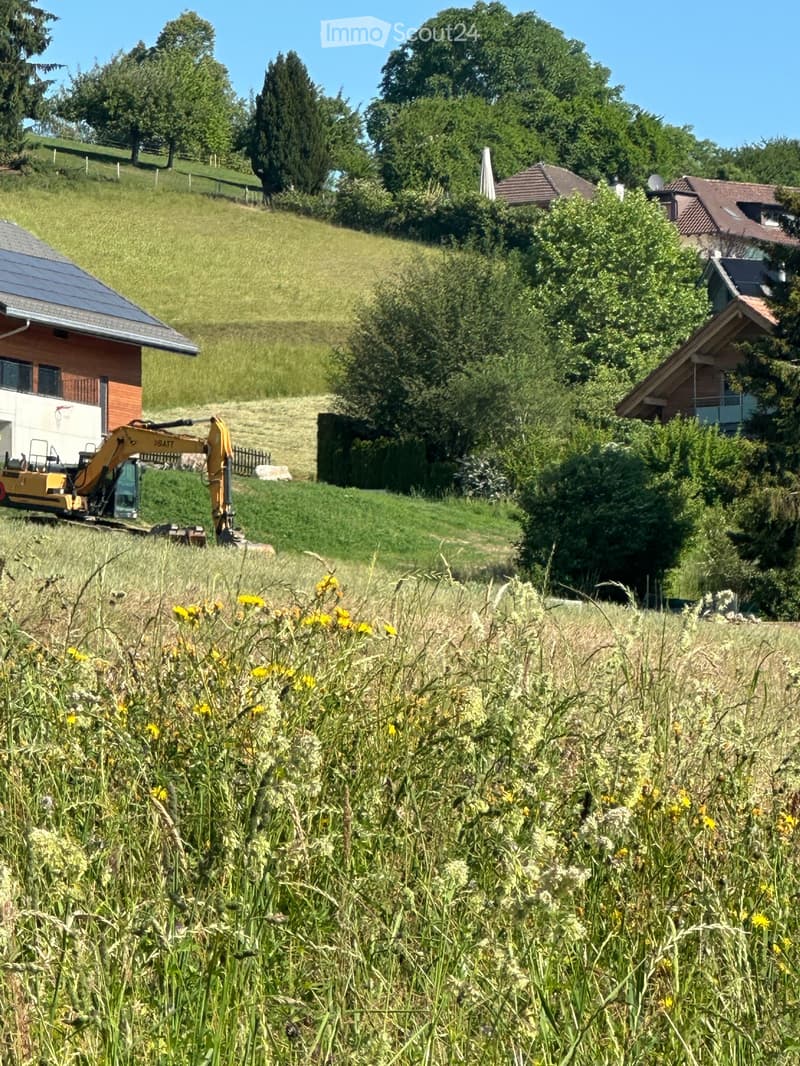 A grassy field with wildflowers, surrounded by trees and houses, with an excavator in the background.