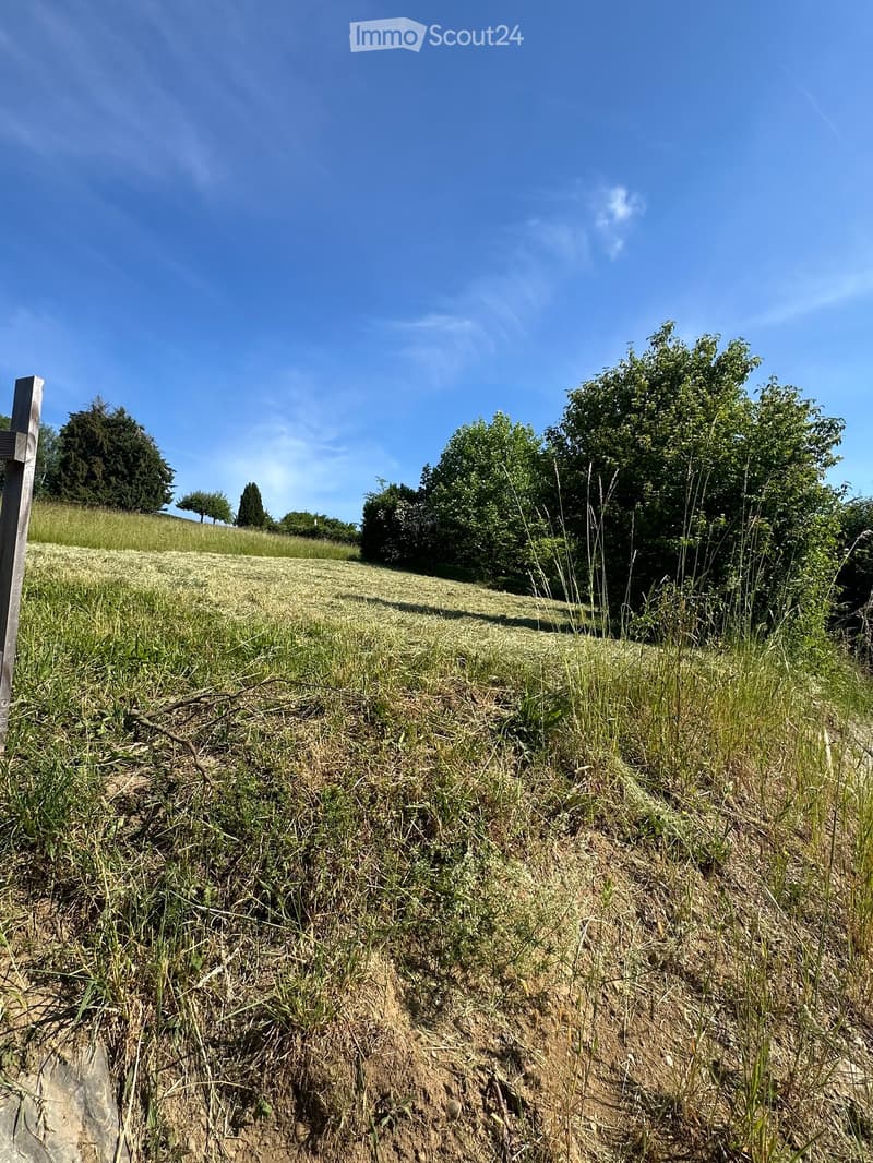 A grassy field with scattered trees and a wooden post on the left side, under a clear blue sky.