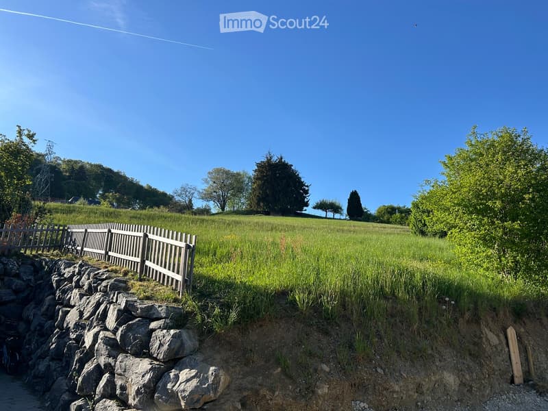 A grassy field bordered by a wooden fence and stone wall, with trees and a clear blue sky in the background.