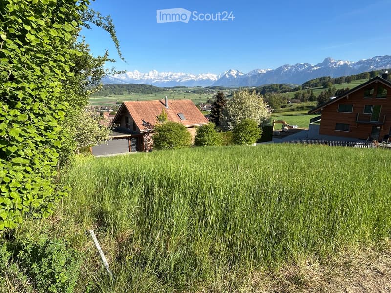 A scenic view of a grassy field with two houses in the background, surrounded by lush greenery and distant snow-capped mountains.