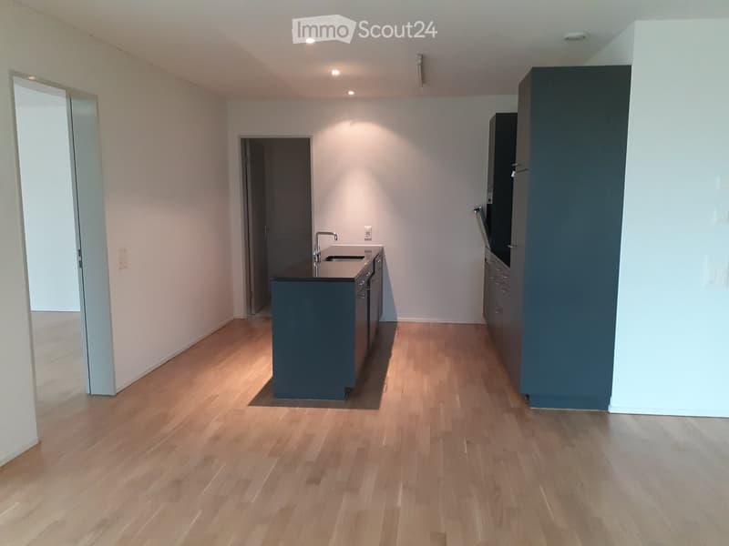 Empty kitchen with wooden flooring, dark cabinets, and a sink area. No furniture or appliances are present.
