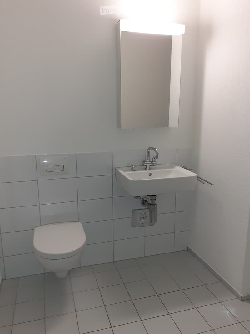Modern bathroom with white tiled walls and floor, featuring a toilet, a wall-mounted sink with a chrome faucet, and a built-in mirror cabinet above the sink.
