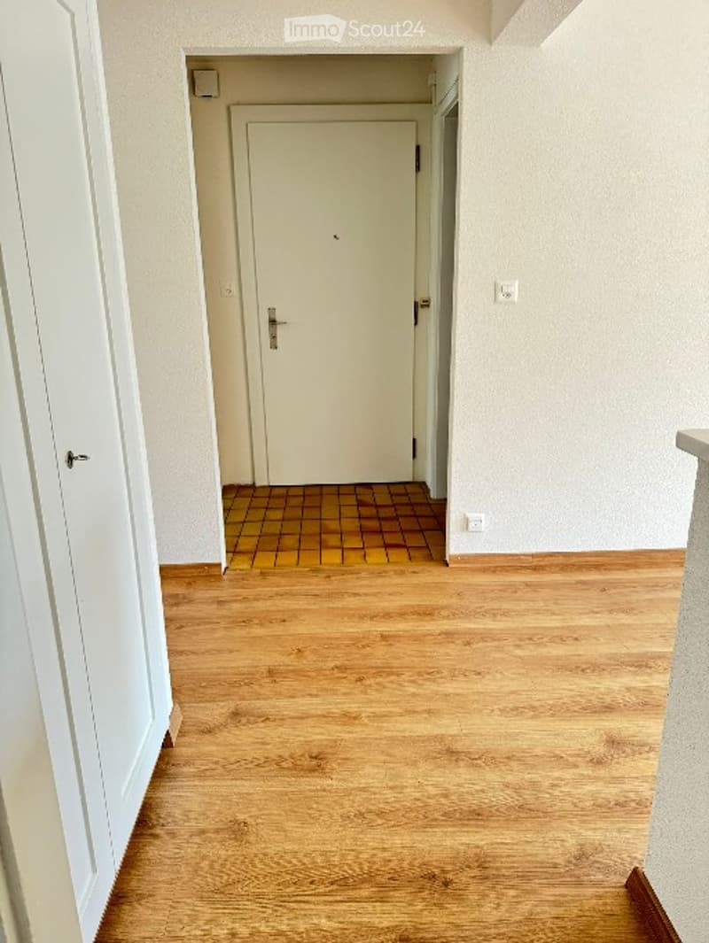 Empty hallway with wooden floor, white walls, white door, yellow tiles at the door, power outlets