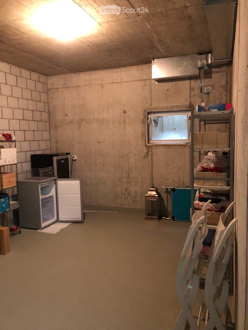 A basement room with exposed brick walls, a small window, and various items including a refrigerator, chairs, shelves, and a lantern.