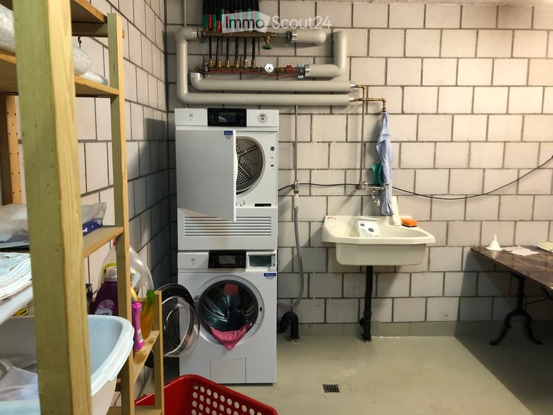 Utility room with a washing machine, dishwasher, sink, and shelves for cleaning supplies.