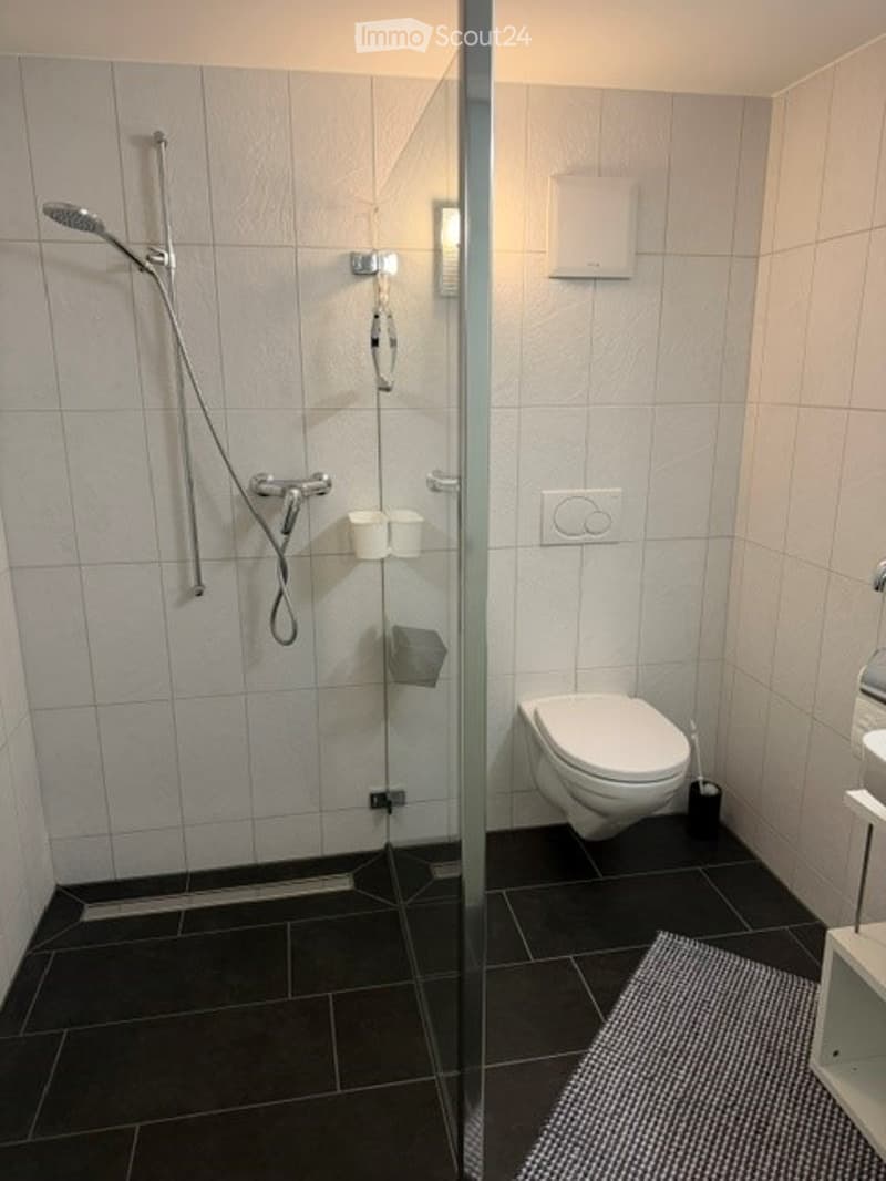 Modern bathroom with a glass-enclosed shower, toilet, and tiled walls. Features include a showerhead, shower controls, a towel rack, and a light switch.
