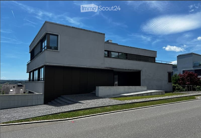 Modern two-story house with clean lines, large windows, and a raised ground floor accessed by concrete steps.