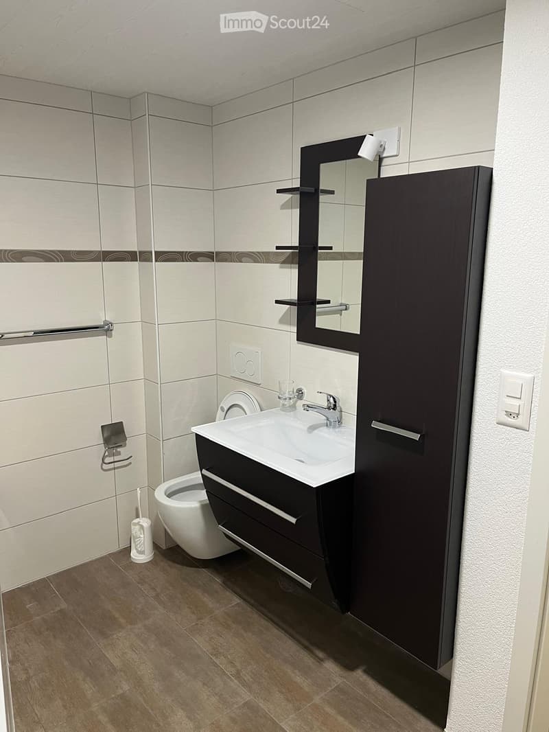 Modern bathroom with a white sink, dark wooden cabinet, mirror, toilet, and tiled walls.