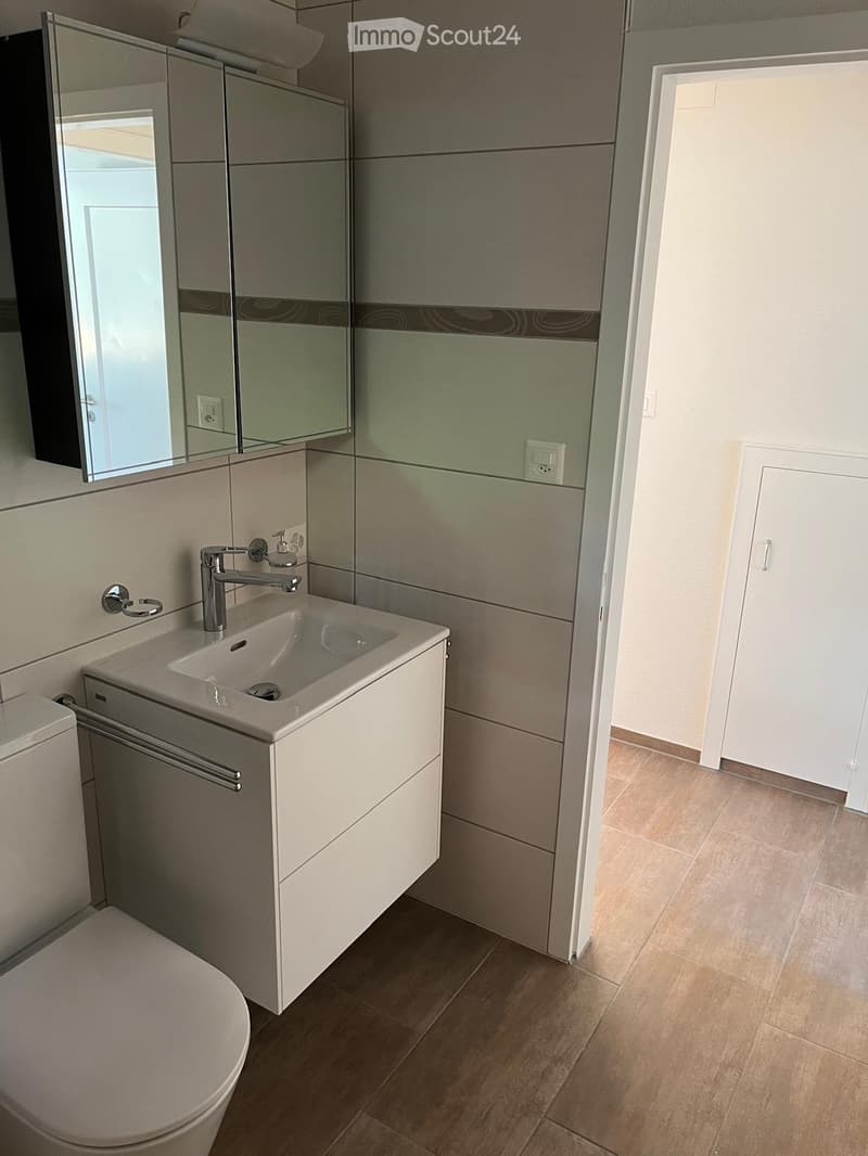 Modern bathroom with a white sink, chrome faucet, mirrored cabinet, and a toilet. The walls are tiled in a neutral color scheme, and the floor is made of light wood.