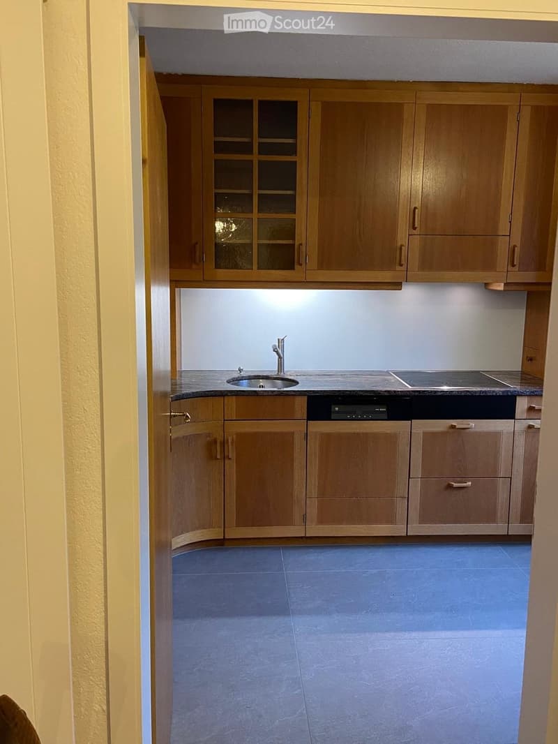 Modern kitchen with wooden cabinets, a sink, a dishwasher, and a countertop.