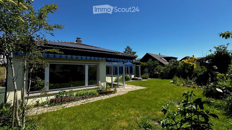 Well-maintained garden with a lawn, trees, and a modern house with large windows and a covered patio area.