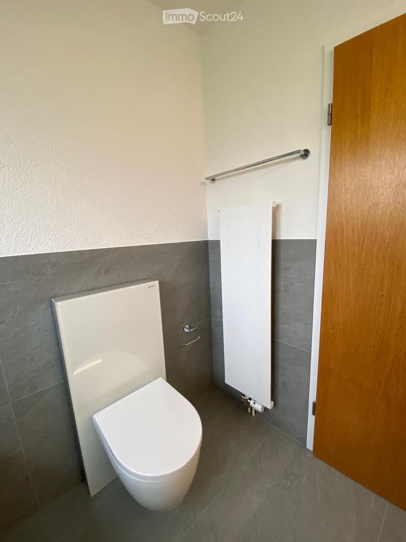 Modern bathroom with a white toilet, grey tiled walls, a white radiator, and a wooden door.