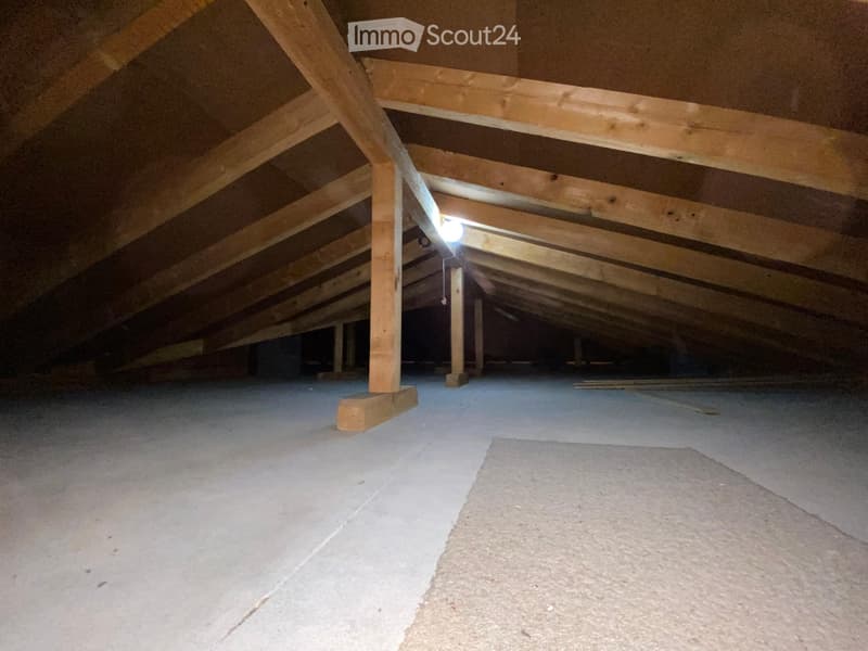 Empty attic space with exposed wooden beams and concrete floor, illuminated by a single overhead light fixture.