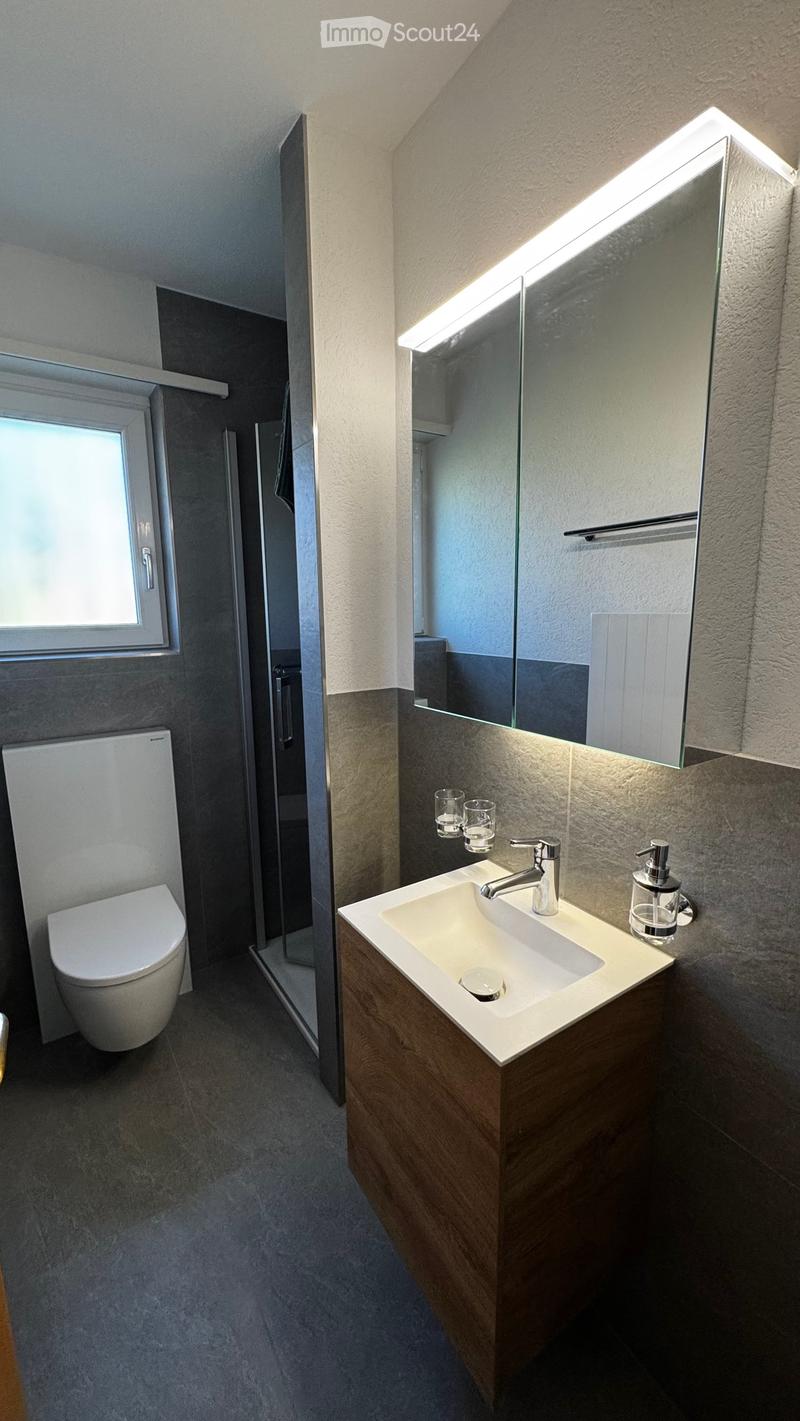 Modern bathroom with a wooden vanity, white sink, chrome faucet, large mirror with built-in lighting, toilet, and a glass-enclosed shower area.