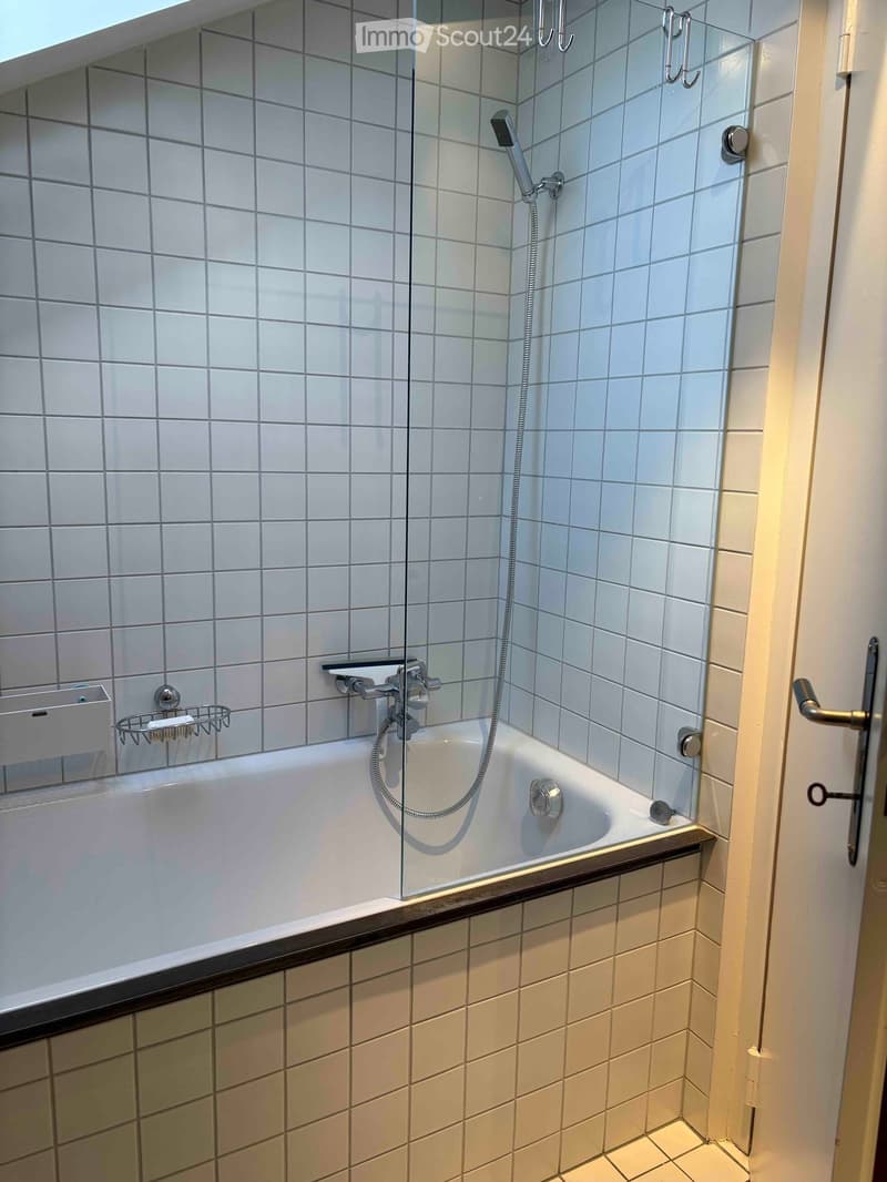 Modern bathroom with a bathtub, glass shower enclosure, tiled walls, and a showerhead with handheld hose.