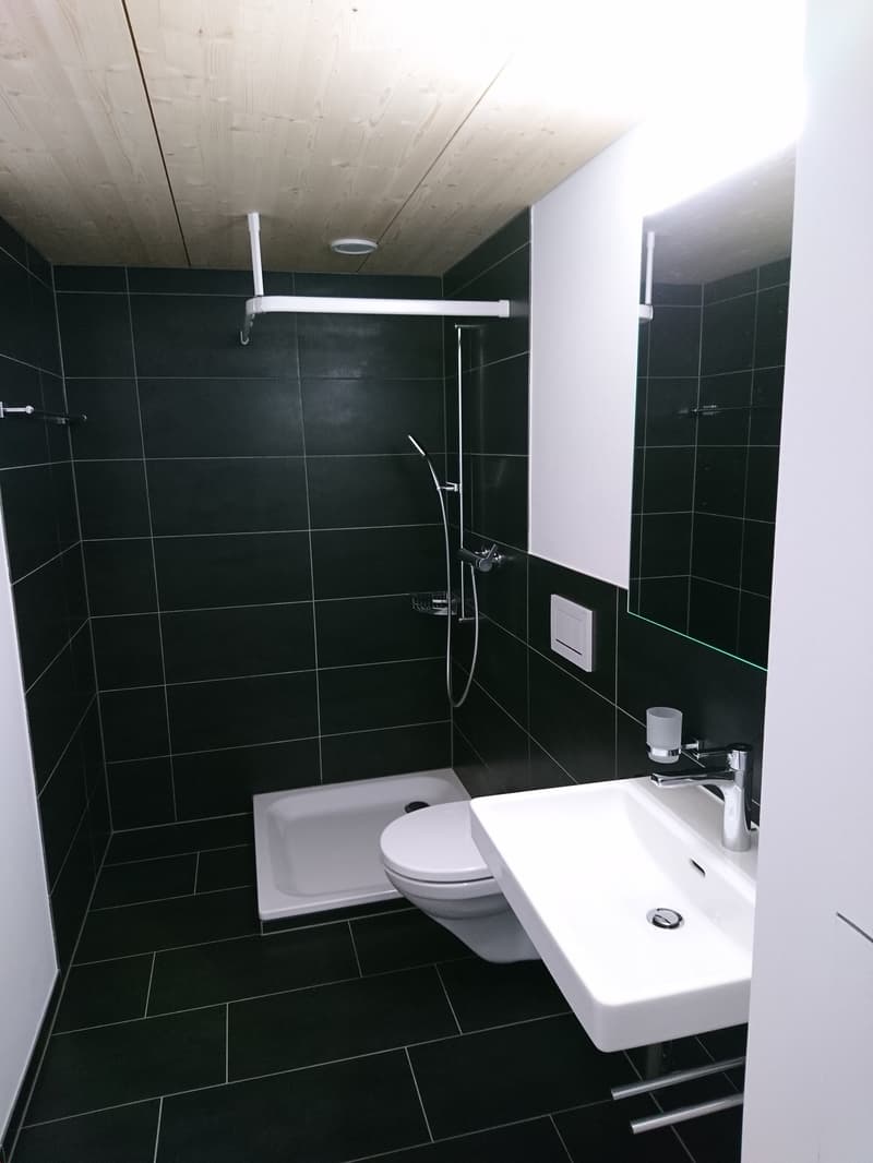 Modern bathroom with black tiled walls and floor, white fixtures including a toilet, sink, and bathtub, and a showerhead with a handheld sprayer.