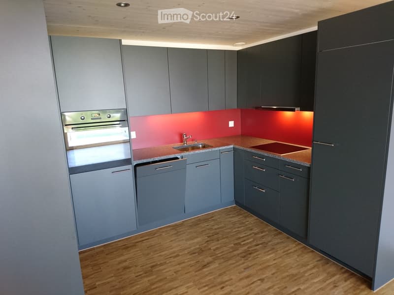 Modern kitchen with grey cabinets, wooden flooring, stainless steel oven, sink, and faucet. Red backsplash with integrated lighting.