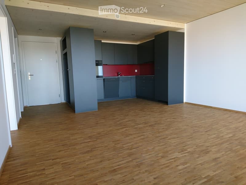 Empty room with wooden flooring, grey cabinets, and a red backsplash in the kitchen area.