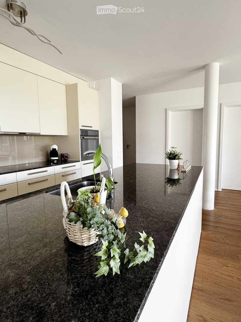 Modern kitchen with white cabinets, dark granite countertops, and a sink with a faucet. A potted plant and a coffee maker are on the counter.
