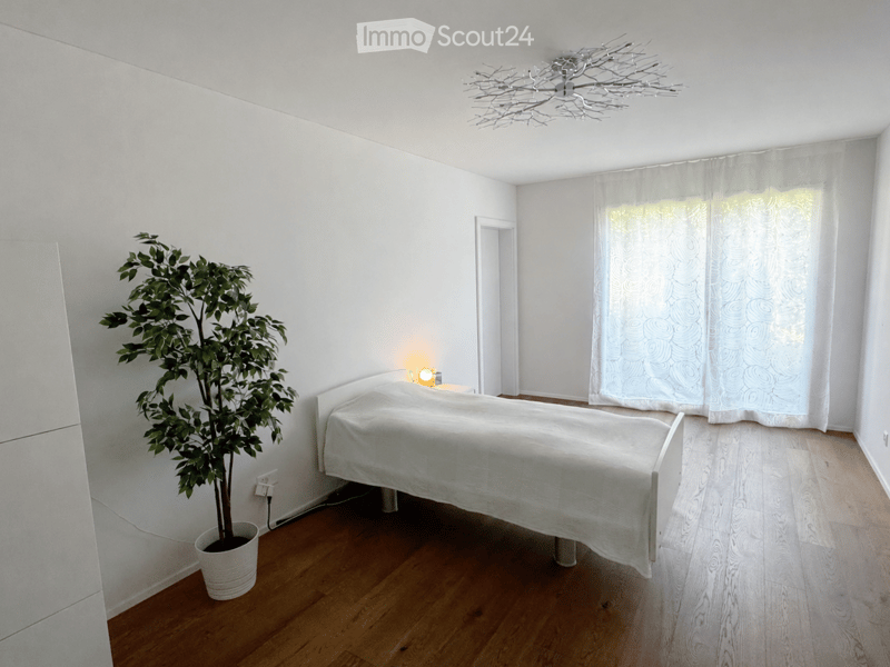 Bright bedroom with wooden flooring, white walls, a single bed with white bedding, a nightstand with a lamp, and a potted plant near the door.