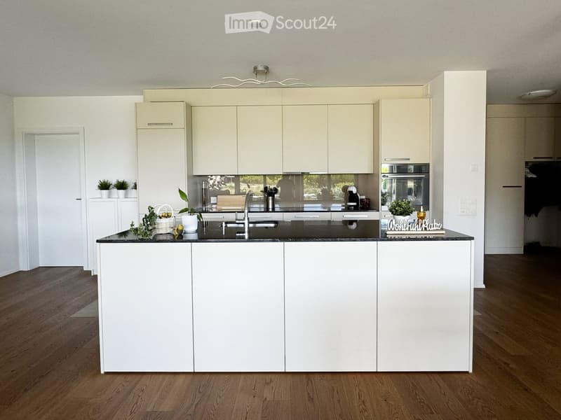 Modern kitchen with white cabinets, a central island, and a black countertop. Features a sink, faucet, and small potted plants on the island.