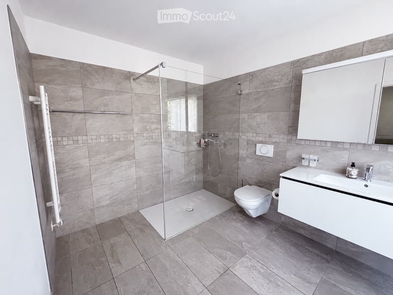 Modern bathroom with grey tiled walls and floor, featuring a glass-enclosed shower, a white toilet, a white sink with a mirror cabinet, and a towel rack.