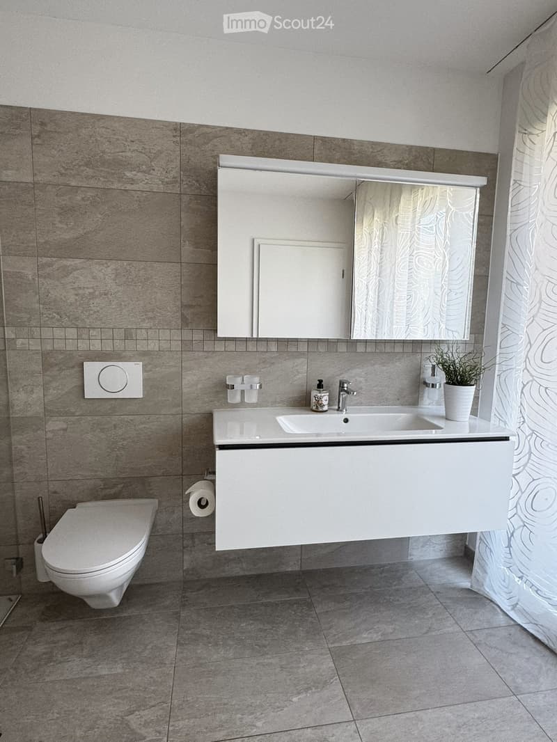 Modern bathroom with a white sink, mirror, toilet, and decorative plant on the counter.