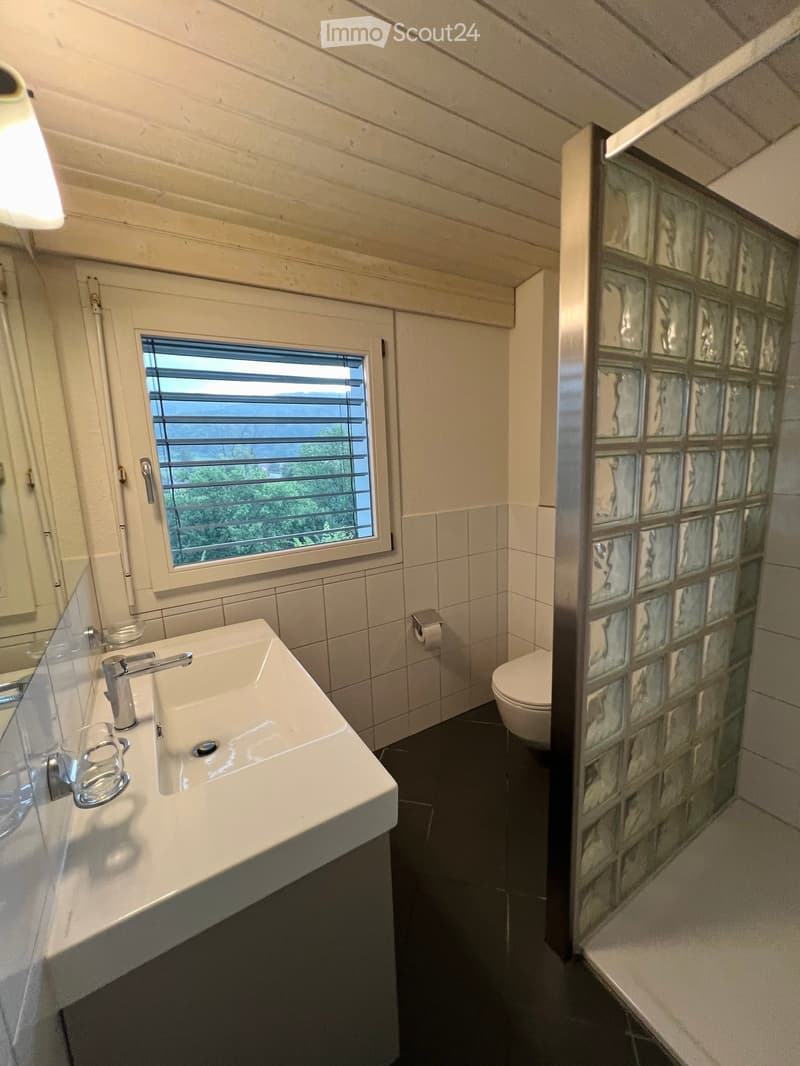 Modern bathroom with a white sink, chrome faucet, toilet, and a frosted glass shower enclosure. A window offers a scenic view.