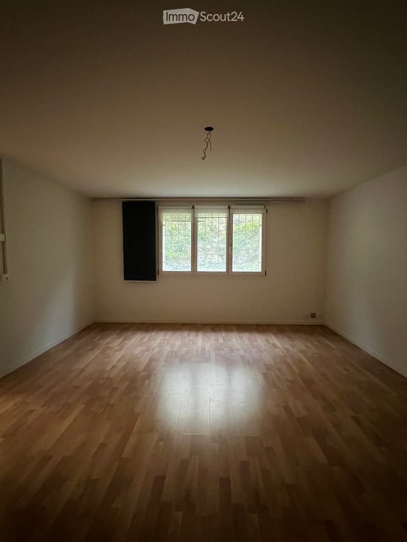 Empty room with wooden flooring, white walls, and three windows with white frames and blinds. A single light fixture hangs from the ceiling.