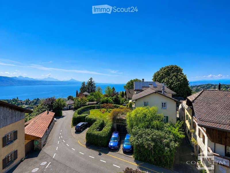 Aerial view of a residential area with houses, parked cars, greenery, and a scenic lake and mountain view in the background.