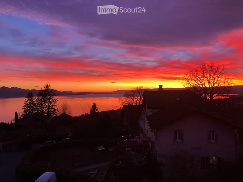 Garden / Outdoor Area. A serene sunset view over a lake with silhouettes of houses, trees, and parked cars in the foreground.